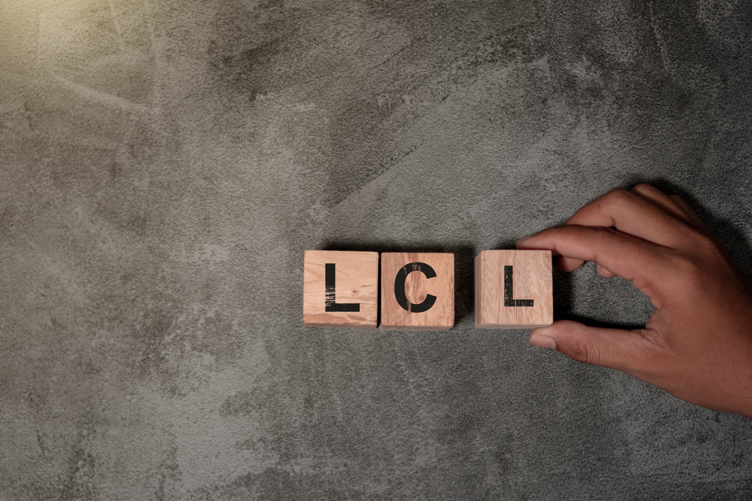 Consolidación de carga marítima LCL